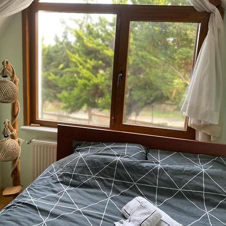 Havalimanina Yakin Orman Icinde Ferah Villa1 Arnavutkoy Экстерьер фото