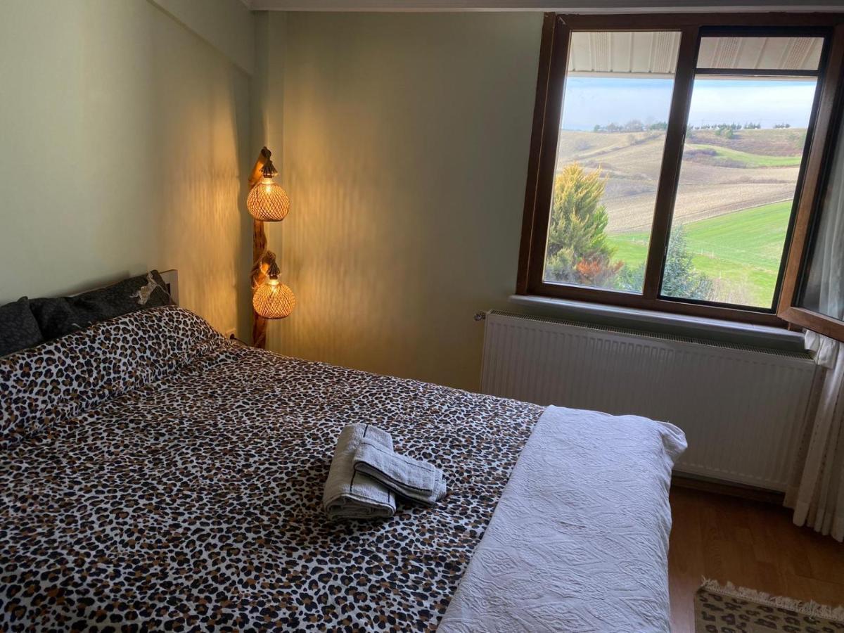 Havalimanina Yakin Orman Icinde Ferah Villa1 Arnavutkoy Экстерьер фото